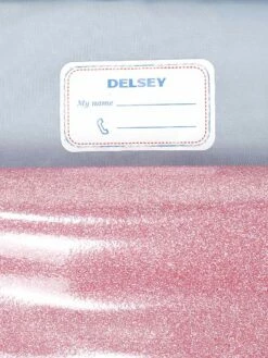 Cartable à Roulettes Delsey Back To School 43 Cm - 2 Roues -Delsey Soldes Magasin cartables scolaires delsey 789246z