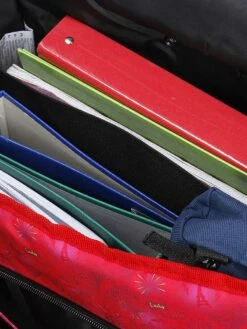 Cartable à Roulettes Miraculous Coccinelle 41 Cm -Delsey Soldes Magasin cartables scolaires dessins animes 782104z