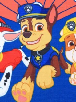 Cartable Pat Patrouille Cool 32 Cm 16 Cartable Pat Patrouille Cool 32 Cm -Delsey Soldes Magasin cartables scolaires dessins animes 791912z