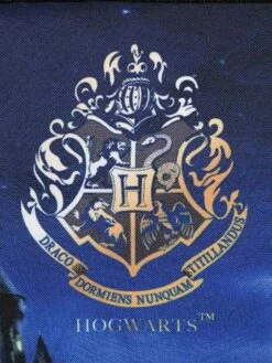 Cartable Harry Potter Château De Poudlard 38 Cm -Delsey Soldes Magasin cartables scolaires dessins animes 866679z