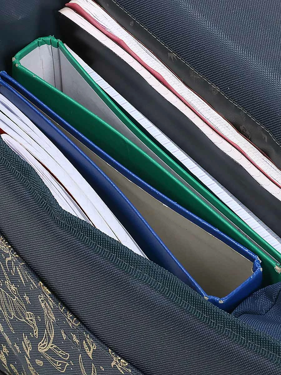 Cartable Réversible Pol Fox Wonderland 35 Cm 11 Cartable Réversible Pol Fox Wonderland 35 Cm – Image 9