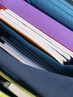 Cartable à Roulettes Tann's Les Fantaisies Ryan 38 Cm 31 Cartable à Roulettes Tann's Les Fantaisies Ryan 38 Cm -Delsey Soldes Magasin cartables scolaires tanns 744418z