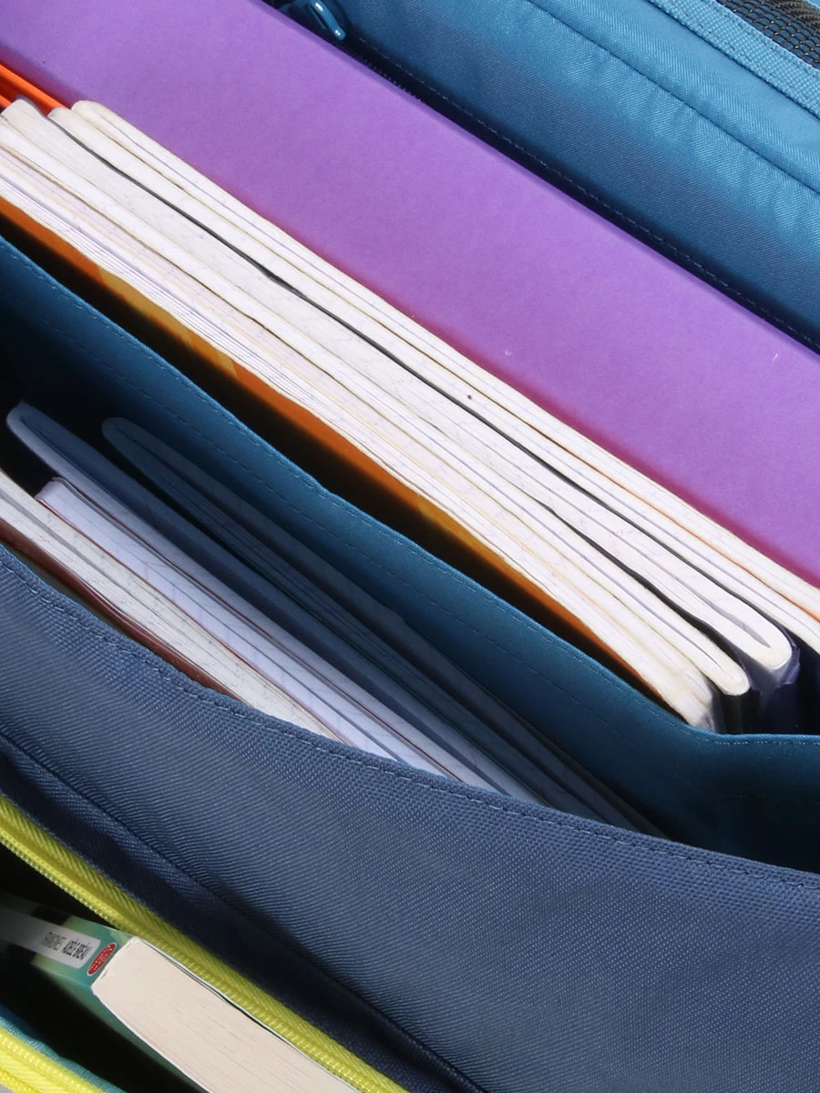 Cartable à Roulettes Tann's Les Fantaisies Ryan 38 Cm 13 Cartable à Roulettes Tann's Les Fantaisies Ryan 38 Cm – Image 11