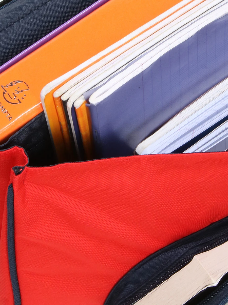 Cartable à Roulettes Tann's Les Fantaisies Gabin 38 Cm 15 Cartable à Roulettes Tann's Les Fantaisies Gabin 38 Cm – Image 13