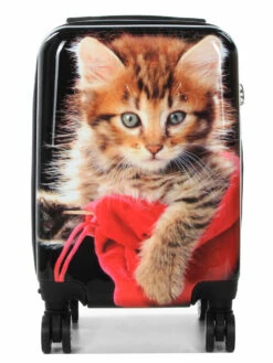 Ensemble 4 Valises Madisson Chaton -Delsey Soldes Magasin ensemble valise madisson 842953z
