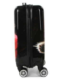 Ensemble 4 Valises Madisson Chaton -Delsey Soldes Magasin ensemble valise madisson 842954z