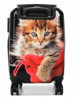 Ensemble 4 Valises Madisson Chaton -Delsey Soldes Magasin ensemble valise madisson 842955z