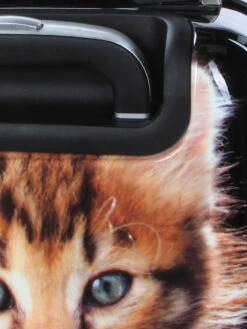 Ensemble 4 Valises Madisson Chaton -Delsey Soldes Magasin ensemble valise madisson 842956z