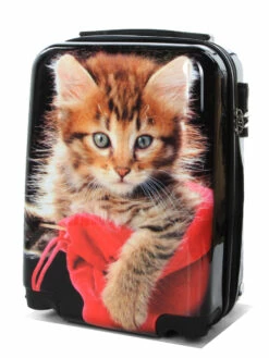 Ensemble 4 Valises Madisson Chaton -Delsey Soldes Magasin ensemble valise madisson 842963z