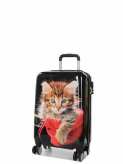 Ensemble 4 Valises Madisson Chaton -Delsey Soldes Magasin ensemble valise madisson 842966z