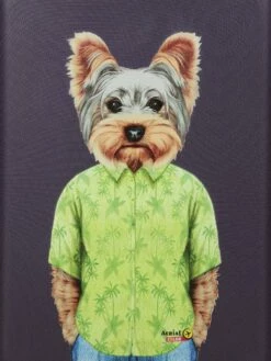 Valise Aérial Pet Shop Yorkshire 55 Cm -Delsey Soldes Magasin valise aerial 625174z