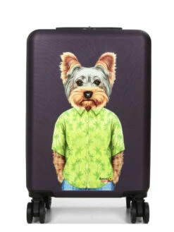 Valise Aérial Pet Shop Yorkshire 55 Cm -Delsey Soldes Magasin valise aerial 625177z