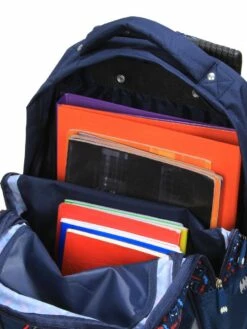 Sac à Dos à Roulettes Batman Midnight -Delsey Soldes Magasin sac dos dessins animes 786823z