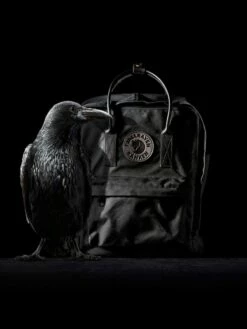FJÄLLRÄVEN Sac à Dos Fjällräven Kanken N°2 Mini Black -Delsey Soldes Magasin sac dos fjallraven 799924z