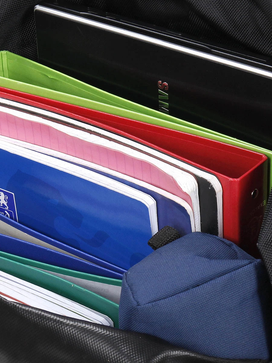 Sac à Dos Lys Cincinnati Dome 11 Sac à Dos Lys Cincinnati Dome – Image 9