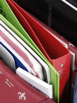 Sac à Dos Lys Urban 15.6 -Delsey Soldes Magasin sac dos lys 745118z