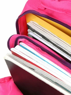 Sac à Dos Philéas Wild Zebre -Delsey Soldes Magasin sac dos phileas 866991z