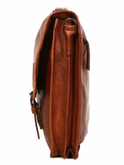 Cartable Ordinateur Bear Design Cow Lavato Guus 15.6 Pouces -Delsey Soldes Magasin sac ordinateur bear design 881351z