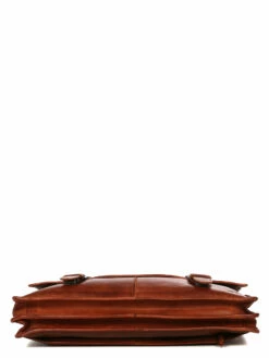 Cartable Ordinateur Bear Design Cow Lavato Guus 15.6 Pouces -Delsey Soldes Magasin sac ordinateur bear design 881357z