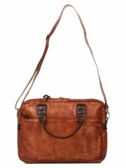 Sacoche Ordinateur Bear Design Cow Lavato Leandro 14 Pouces -Delsey Soldes Magasin sac ordinateur bear design 881362z