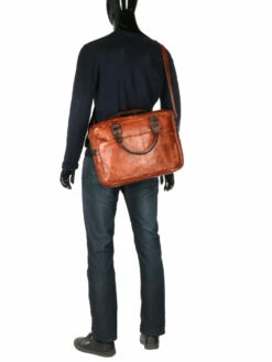 Sacoche Ordinateur Bear Design Cow Lavato Leandro 14 Pouces -Delsey Soldes Magasin sac ordinateur bear design 881363z