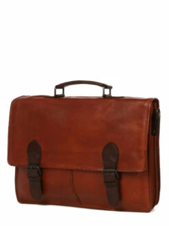 Cartable Ordinateur Bear Design Cow Lavato Guus 15.6 Pouces -Delsey Soldes Magasin sac ordinateur bear design 881514z