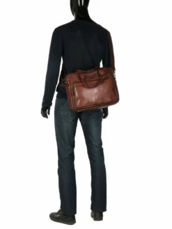 Sacoche Ordinateur Bear Design Cow Lavato Hugo 13 Pouces -Delsey Soldes Magasin sac ordinateur bear design 881866z