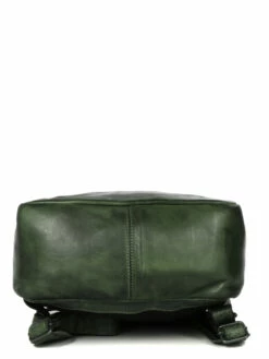 Sac à Dos Ordinateur Bear Design Cow Lavato Rick 14 Pouces -Delsey Soldes Magasin sac ordinateur bear design 881984z