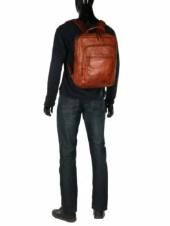 Sac à Dos Ordinateur Bear Design Cow Lavato Ties 14 Pouces -Delsey Soldes Magasin sac ordinateur bear design 882037z