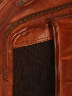 Sac à Dos Ordinateur Bear Design Cow Lavato Ties 14 Pouces -Delsey Soldes Magasin sac ordinateur bear design 882041z