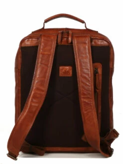 Sac à Dos Ordinateur Bear Design Cow Lavato Ties 14 Pouces -Delsey Soldes Magasin sac ordinateur bear design 882042z