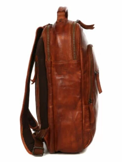 Sac à Dos Ordinateur Bear Design Cow Lavato Ties 14 Pouces -Delsey Soldes Magasin sac ordinateur bear design 882044z