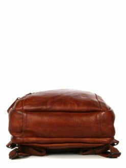 Sac à Dos Ordinateur Bear Design Cow Lavato Ties 14 Pouces -Delsey Soldes Magasin sac ordinateur bear design 882046z