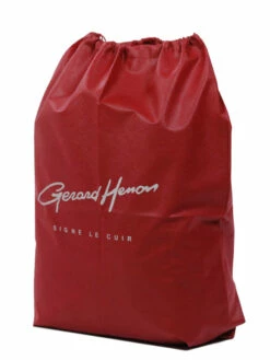 Sac à Dos Ordinateur Gérard Hénon Golf 15.6 Pouces -Delsey Soldes Magasin sac ordinateur gerard henon 91834z