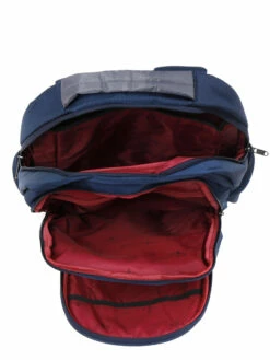 Sac à Dos Ordinateur Lys Cincinnati 15.6 Pouces -Delsey Soldes Magasin sac ordinateur lys 745019z