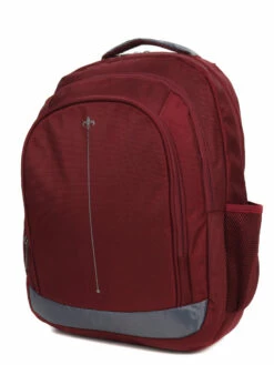 Sac à Dos Ordinateur Lys Cincinnati 15.6 Pouces -Delsey Soldes Magasin sac ordinateur lys 745040z