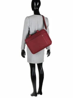 Sac Ordinateur Lys Cincinnati 15.6 Pouces -Delsey Soldes Magasin sac ordinateur lys 745101z