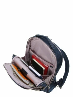 Sac à Dos Ordinateur Samsonite Zalia 2.0 - 15.6 Pouces -Delsey Soldes Magasin sac ordinateur samsonite 711704z